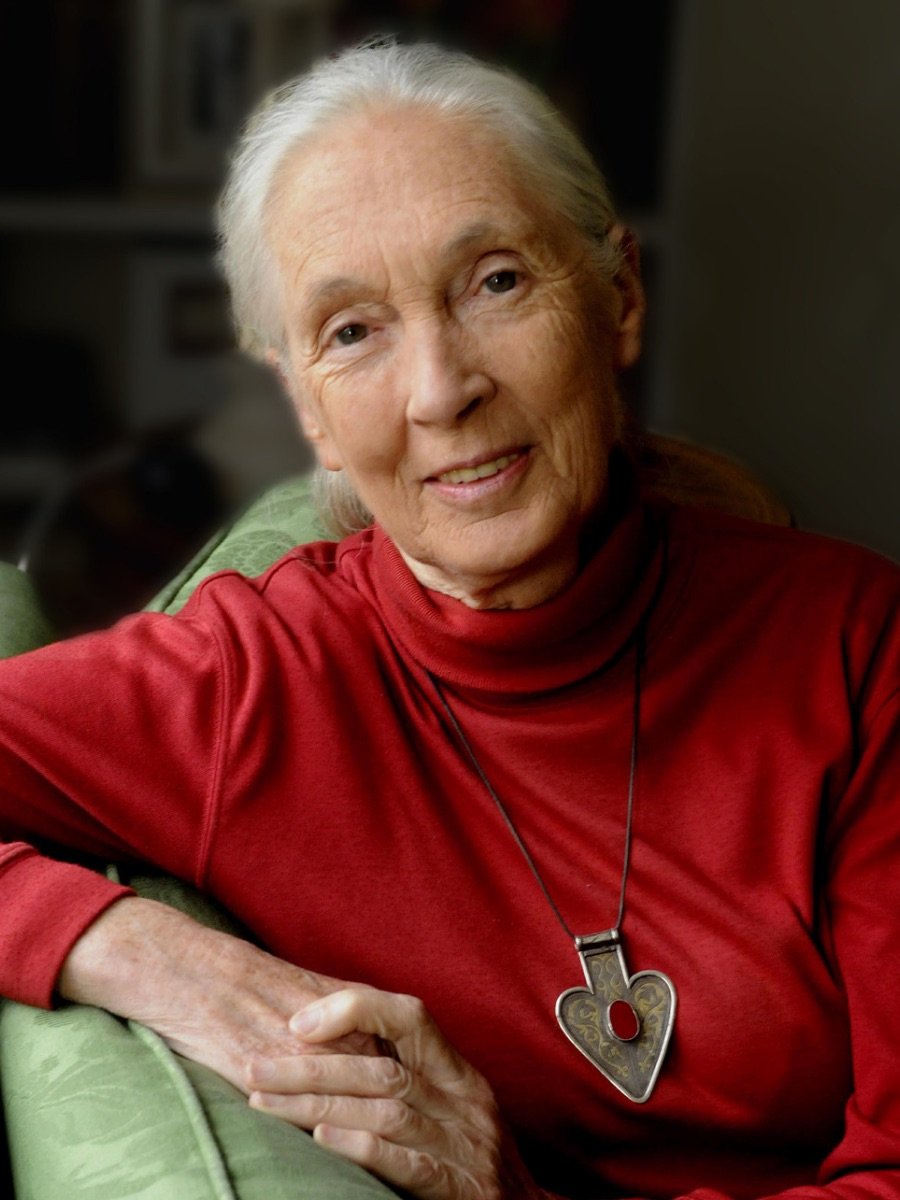 5.Jane-Goodall-hope-book